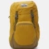 Deuter WALKER UNISEX - Tagesrucksack - Caramel/clay