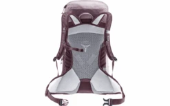 Deuter AC Lite 22 SL Rucksack Graphite-shale