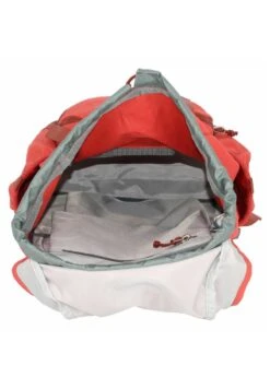 Deuter WALKER - Tagesrucksack - Currant Redwood -Deuter Store badccfd64bd74a1db18534869feb525a