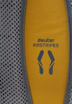 Deuter WALKER UNISEX - Tagesrucksack - Caramel/clay -Deuter Store ca74226be6af4be694ab164a4020e30f