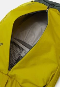 Deuter AC LITE 17 UNISEX - Tagesrucksack - Greencurry/teal -Deuter Store d07fe34fddbf4c139ee93905181c2763