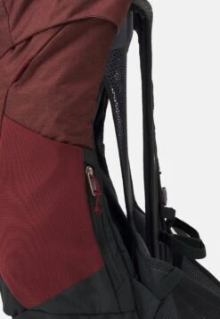 Deuter AC LITE 24 UNISEX - Tourenrucksack - Redwood/ivy -Deuter Store dfe4c87398b6424bbc437e1310c5297a